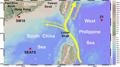 Intrusion of Kuroshio Helps to Diminish Coastal Hypoxia in the Coast of Northern South China Sea